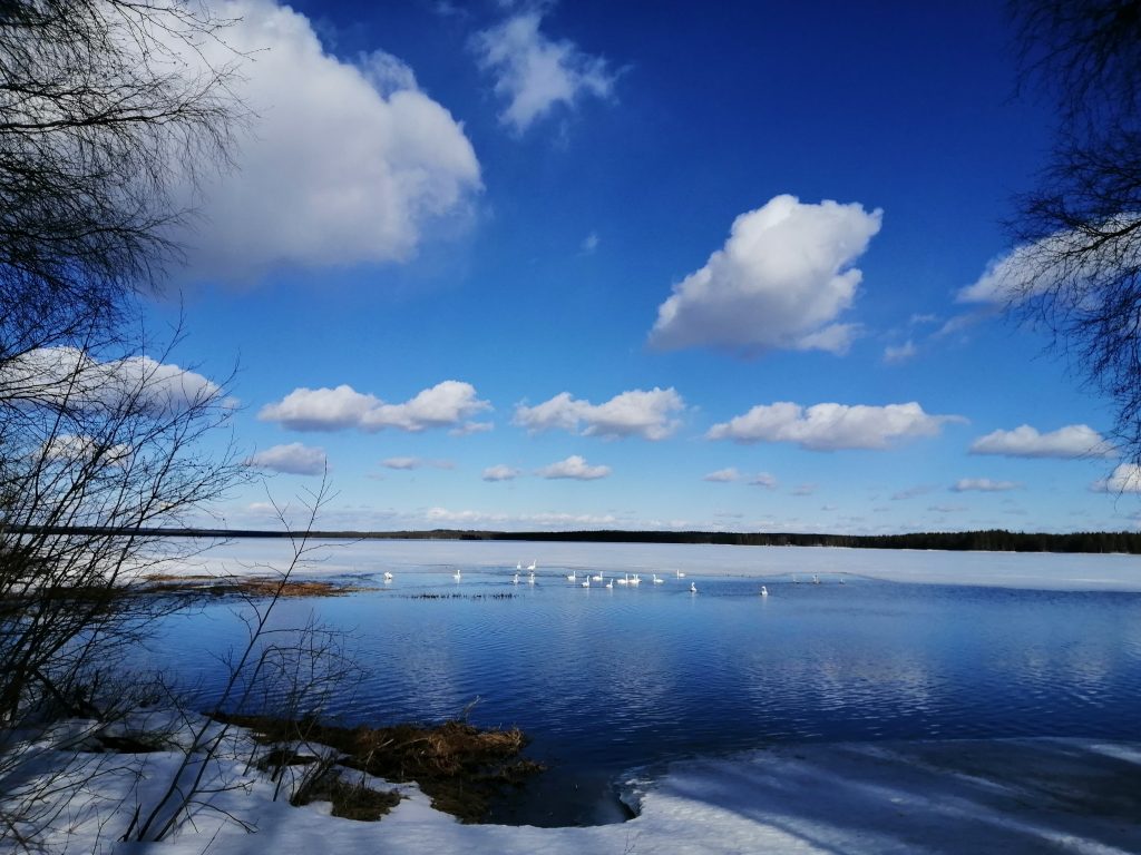 Rotimojoen alkupää