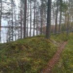 Avoimet Kylät -päivä  - Meininkiä Linnaharjulla