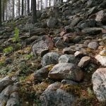 Kotakahvio Linnaharjulla